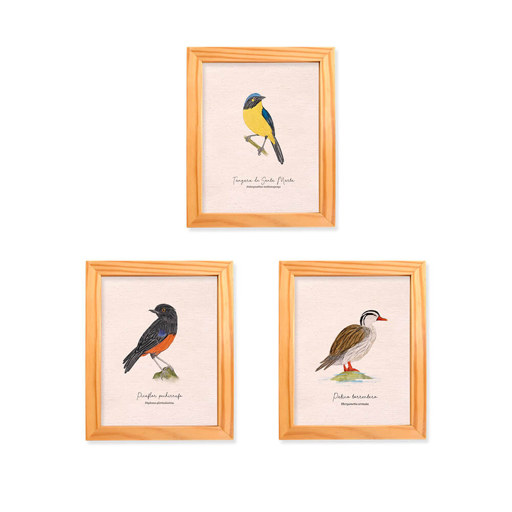 Triptico aves colombia aves de colombia cuadros regalos souvenirs colombianos Colombia arte artesanías mapas postales