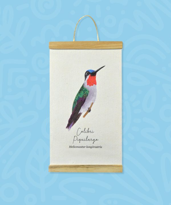 Mini hanger Colibrí Piquilargo