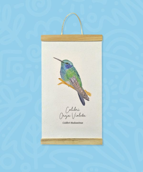 Promo Minihanger colibrís - Imagen 3