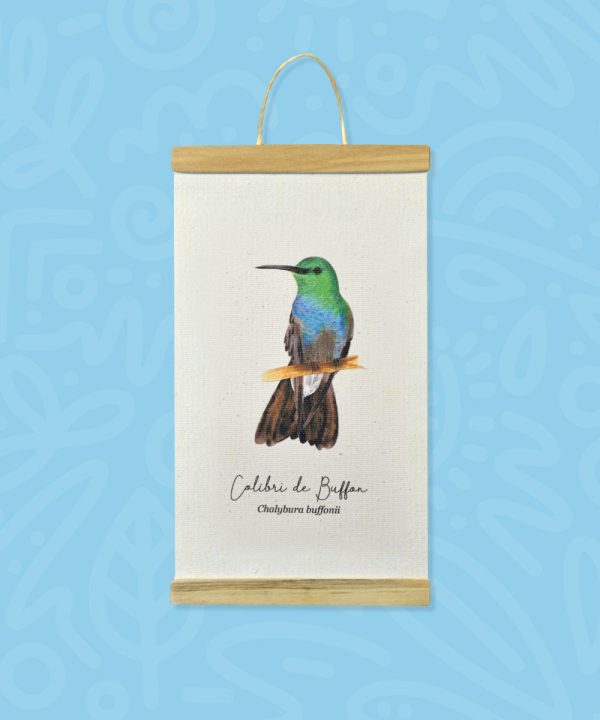 Mini hanger Colibrí de buffon