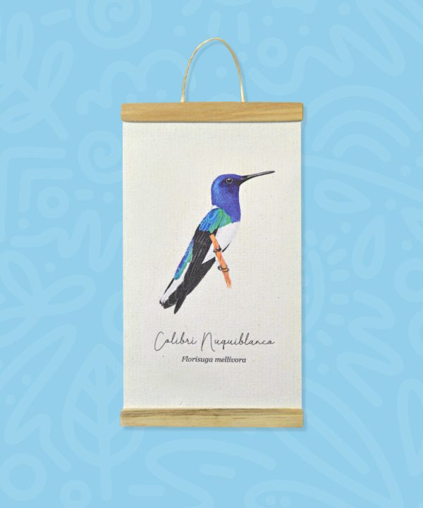Promo Minihanger colibrís - Imagen 4