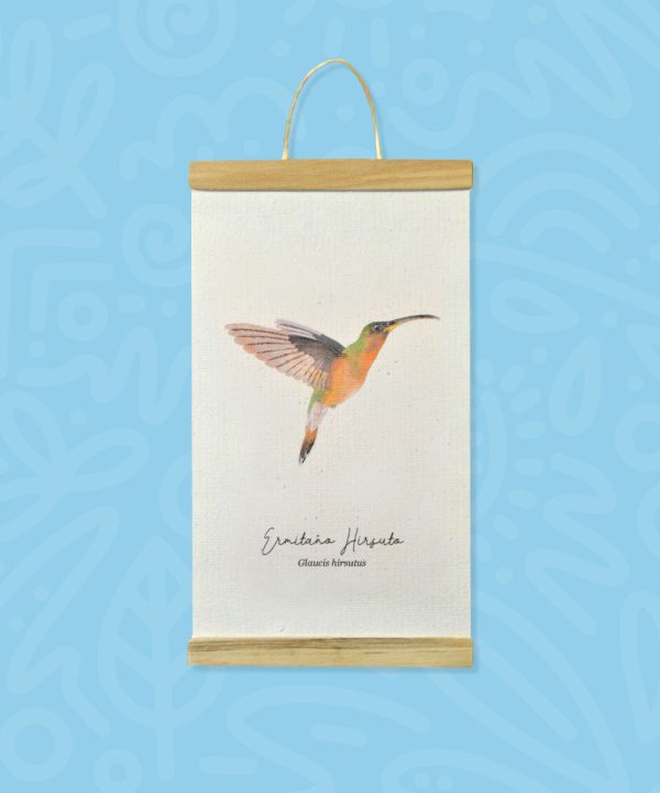 Promo Minihanger colibrís - Imagen 9