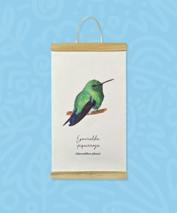 Promo Minihanger colibrís - Imagen 5