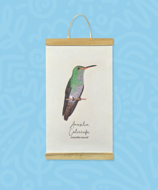 Promo Minihanger colibrís - Imagen 11