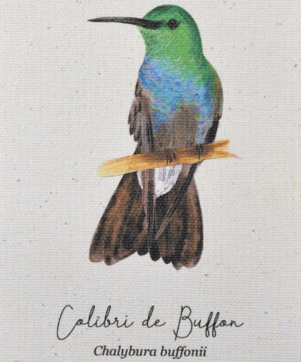 Mini hanger Colibrí de buffon - Imagen 2