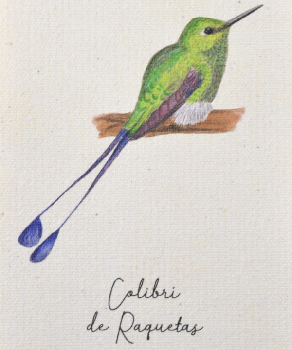 Mini hanger Colibrí de Raquetas - Imagen 2