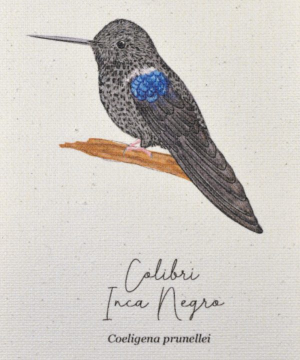 Mini hanger Colibrí Inca negro - Imagen 2