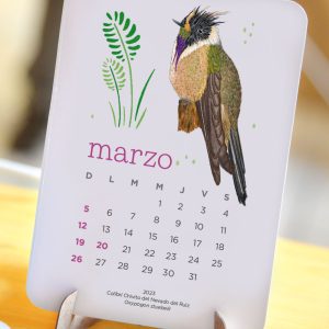 Calendario