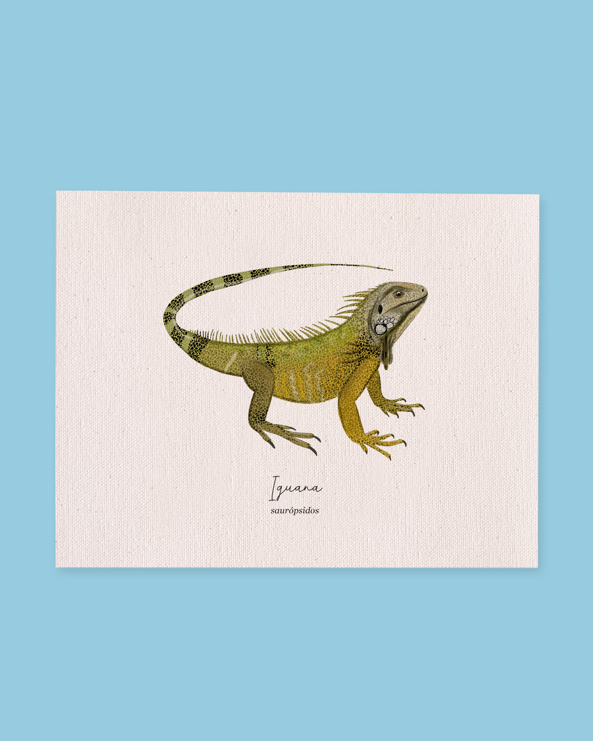 Iguana (saurópsidos)