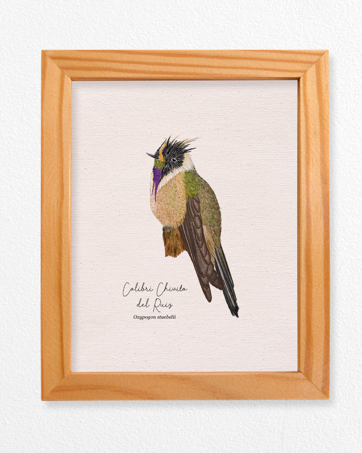 Colibri Chivito ave colombia aves de colombia cuadros regalos souvenirs colombianos Colombia arte artesanías mapas postales decoracion