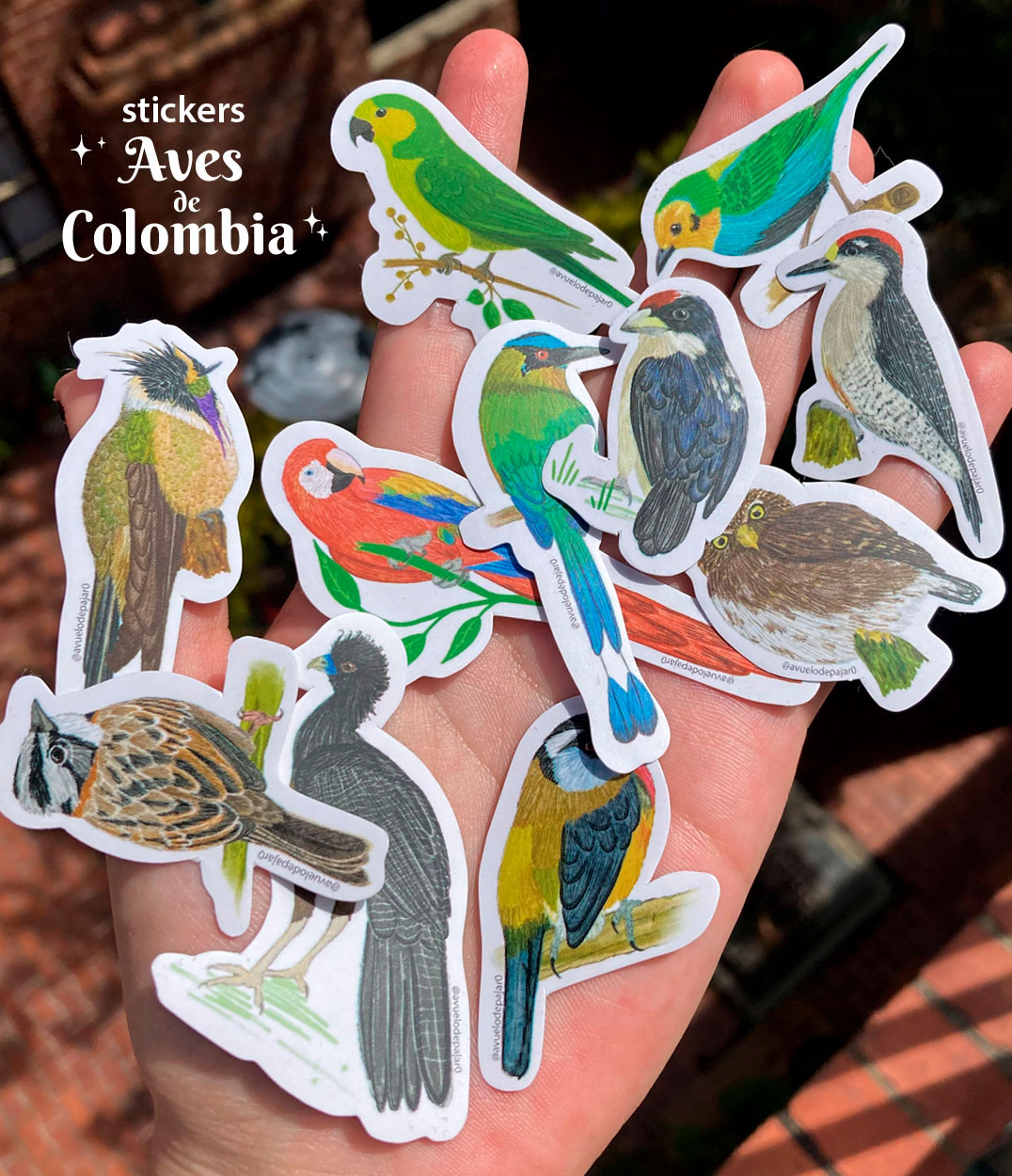 Aves de Colombia stickers