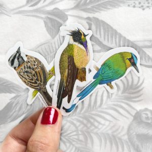 Stickers Aves de Colombia · 11