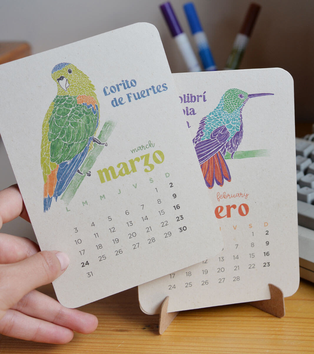 calendario 2025 biodiversidad cop16 colombian cali a vuelo de pajaro regalos souvenirs colombianos mapas ilustrados diseño mapa de aves mapa de oro mapas de colombia mapa aves cuadros arte artesanías postales decoracion ilustracion aves pajaro maps fauna flora Bogotá regalos turismo stickers pegatinas Colombia aves colibri copeton lorito de fuertes