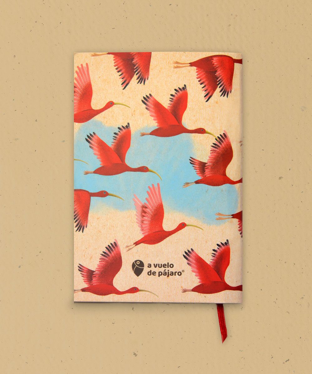 Libreta corocora - a vuelo de pajaro - libreta colombia