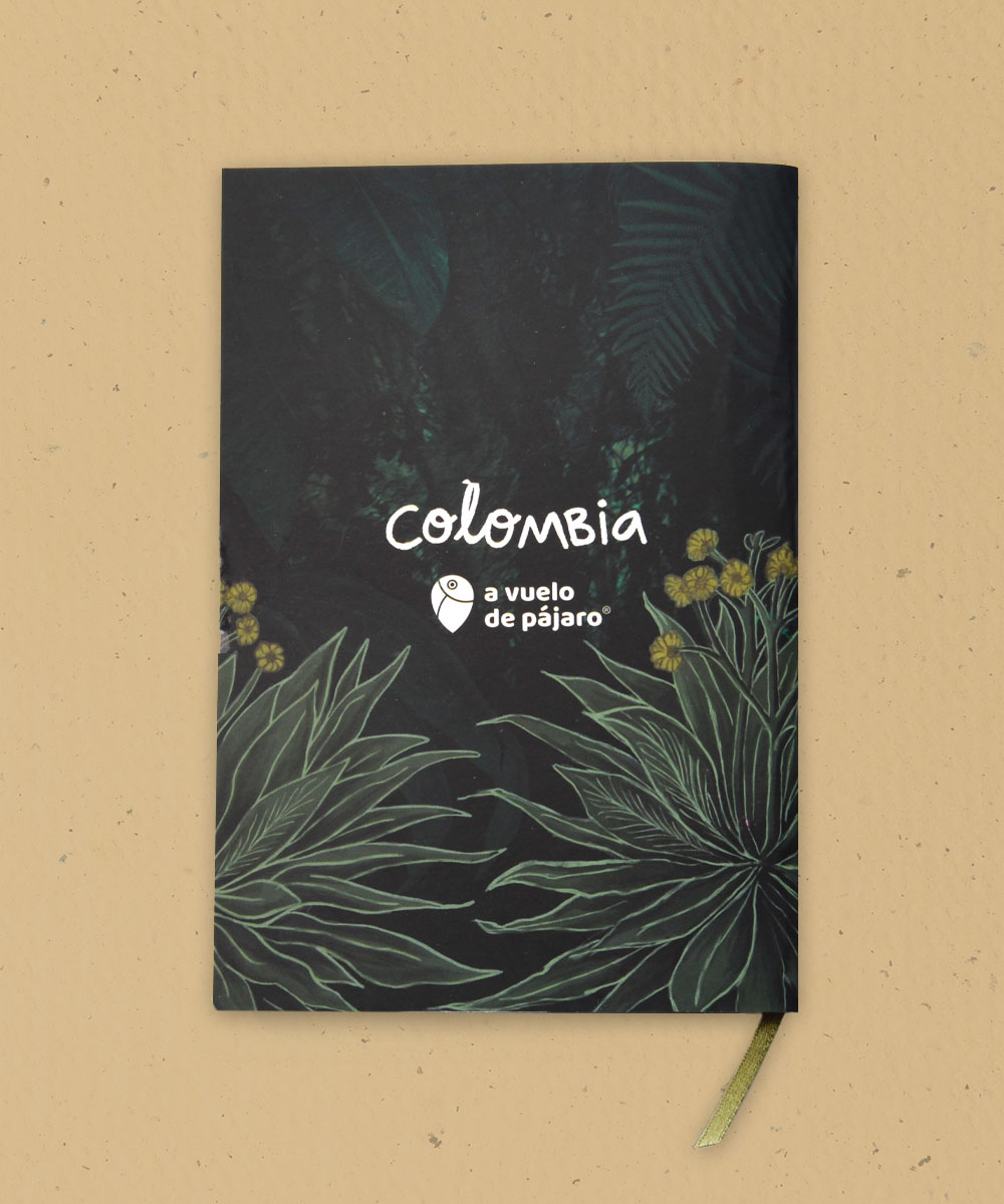 Libreta oso de anteojos  - a vuelo de pajaro - libreta colombia