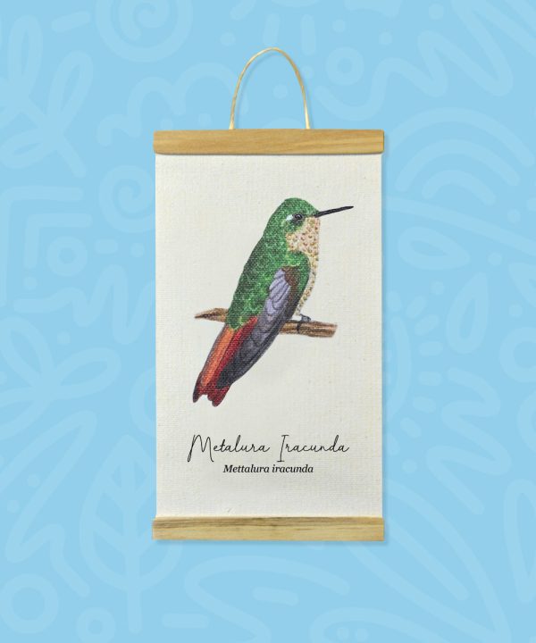 Promo Minihanger colibrís - Imagen 10
