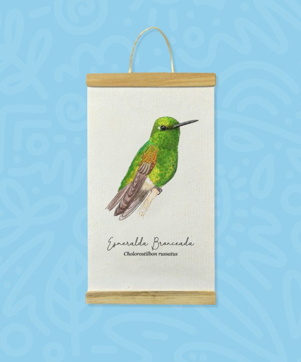 Promo Minihanger colibrís - Imagen 6