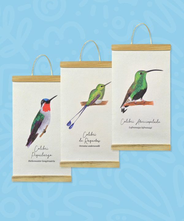 Promo Minihanger colibrís