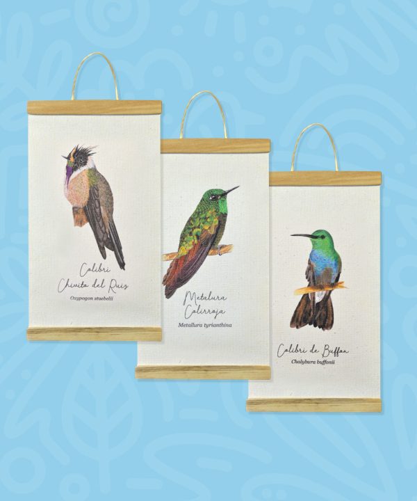 Promo Minihanger colibrís - Imagen 2